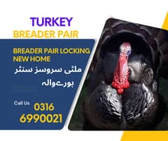 Turkey Breader Pair