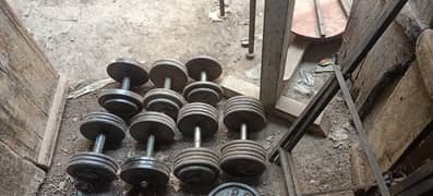Dumbbells | Pallets | Weight Plates