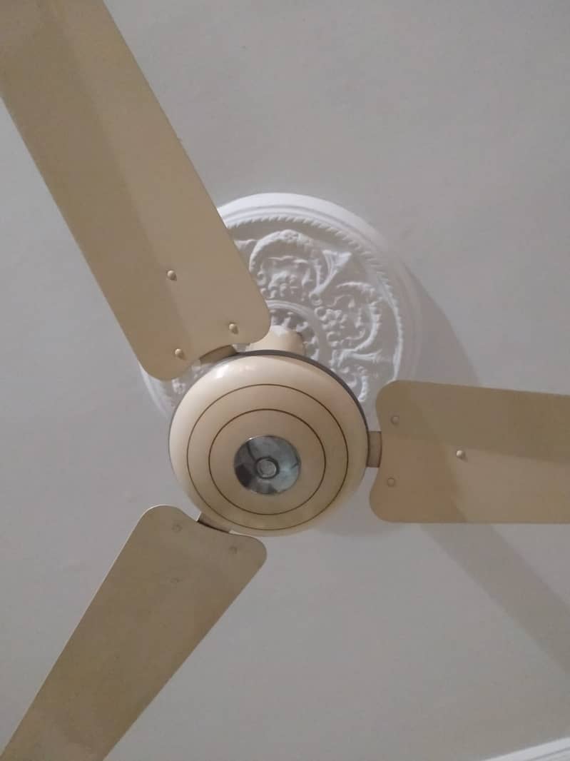 Ceiling Fans (8) پنکھے (pankhay) 13