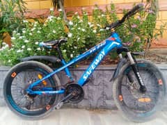 KIDS BICYCLE FOR SALE