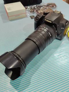 Canon 1000d Dslr Camera 100-300 lens hd result