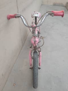 16 "No Bicycle imported china