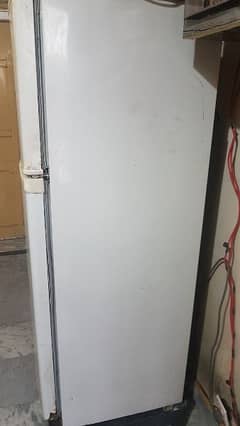 hair fridge