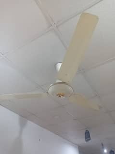 sufi ceiling fans