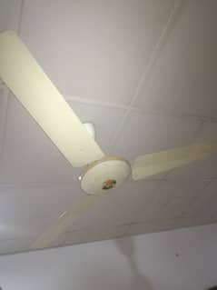 sufi ceiling fans new condition