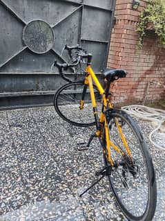 Japanese road bike