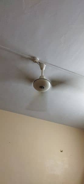 Fans for sale 1