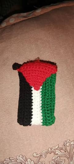 Palestine flag key pouch