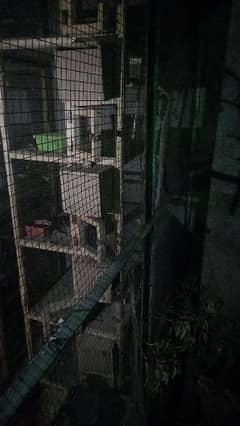wooden 5 room cage finch bird new  without boxes  no۔۔03064167276