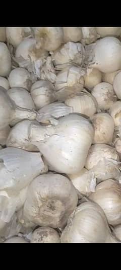 Lahssan/Garlic for sale 35 ton