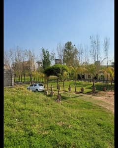 farm House for rent in islamabad