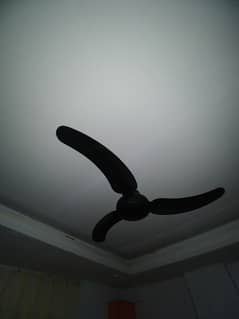 Cieling Fan