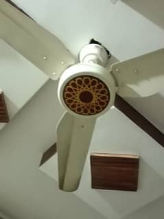 Cieling fan / Roof Fan