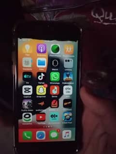 I phone 6 pta prooved officialy