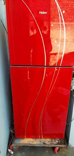 Haier Refrigerator (Medium Sized)
