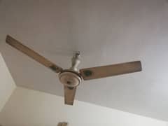 5 ceiling fans available for sale.