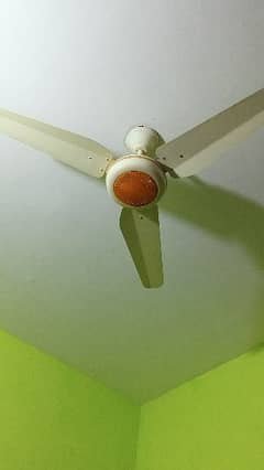 RADO fan, 56 inch