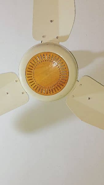 RADO fan, 56 inch 2
