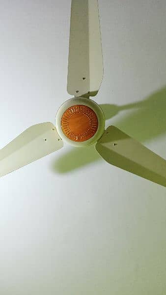 RADO fan, 56 inch 3