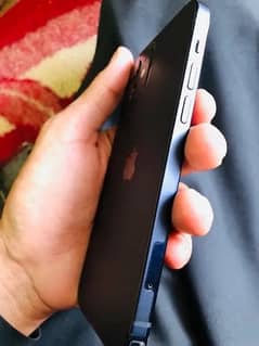 iphone 11 (apple warranty)