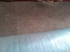 Carpet with Namda