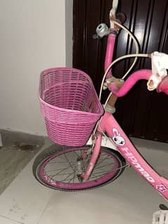 Kids bycicle / girls bicycle