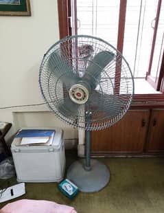 Pedestal fan 24 inch pakfan