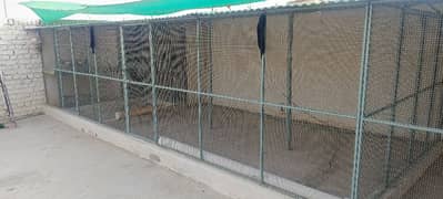 Animal Cage Large Outdoor