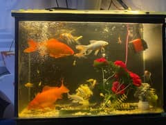 aquarium filter oxgen pump with 20to25 fishs