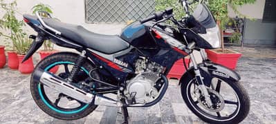 Yamaha ybr 125, model 2024, unregistered, M. B. Din, o332,8373,416