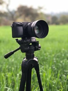 sigma 56mm F1.4 sony mount lens