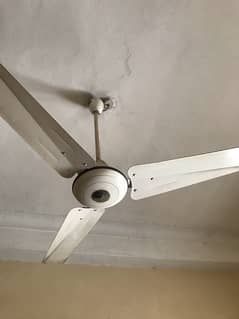 used cieling Pak fan