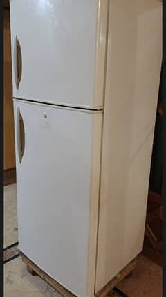 LG fridge No froast big size