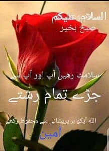 M ishfaq 