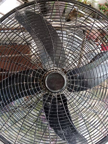 Paramount Fan 100% copper Fan 2