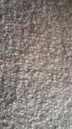 Carpet Kaleen Kaleen Carpet Rugs