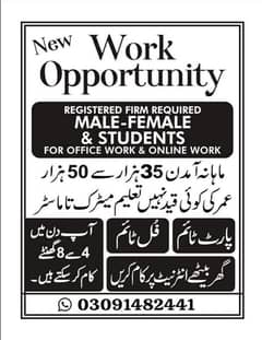 Male And Female Staff Required For Online Word