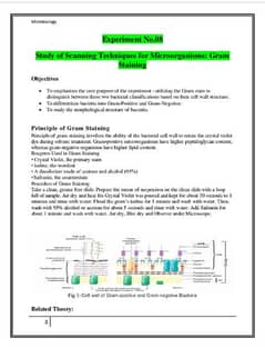 Online Assignment Creater | MSword document