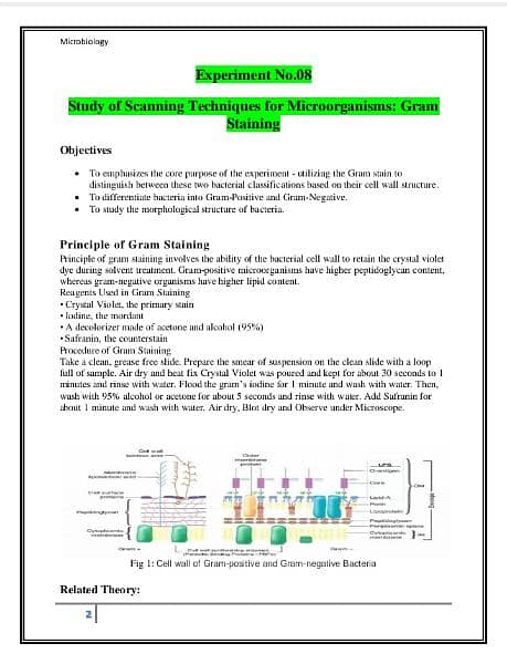 Online Assignment Creater | MSword document 0