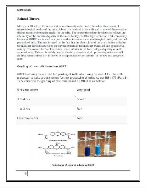 Online Assignment Creater | MSword document 1