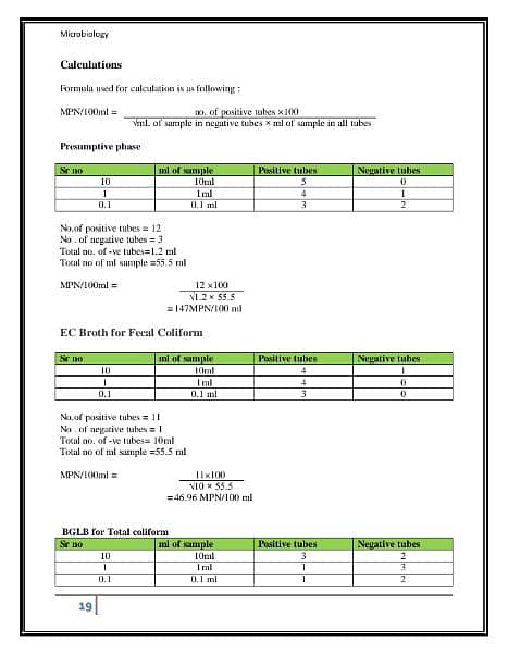 Online Assignment Creater | MSword document 2