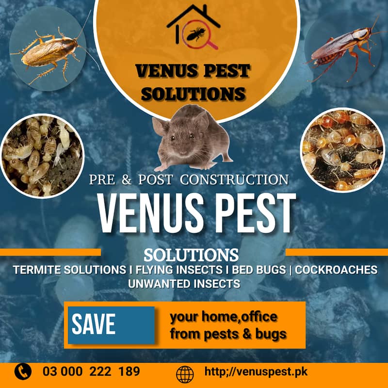 Best residential pest control services in Islamabad,Dengue Spray,Pest 1