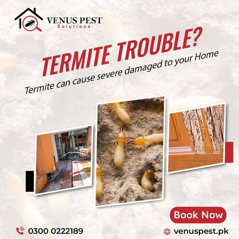 Best residential pest control services in Islamabad,Dengue Spray,Pest 2