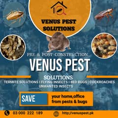 Affordable pest management solutions & fumigation ,Dengue Spray, Pest