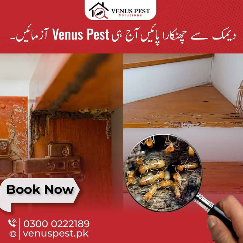 Commercial pest extermination services in Lahore/Dengue Spray,Pest 1