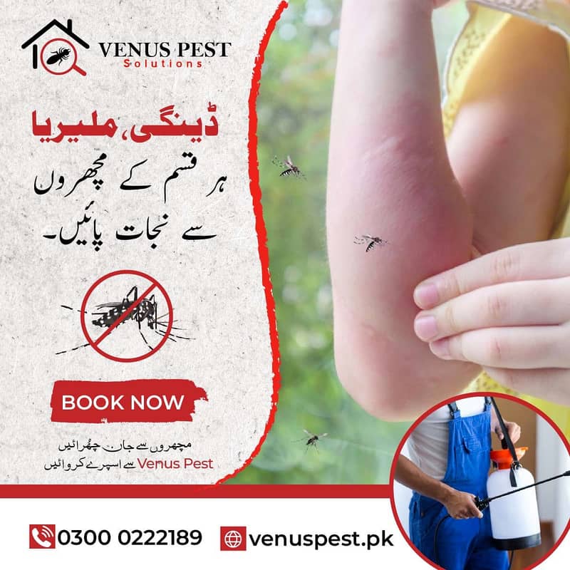 Commercial pest extermination services in Lahore/Dengue Spray,Pest 7