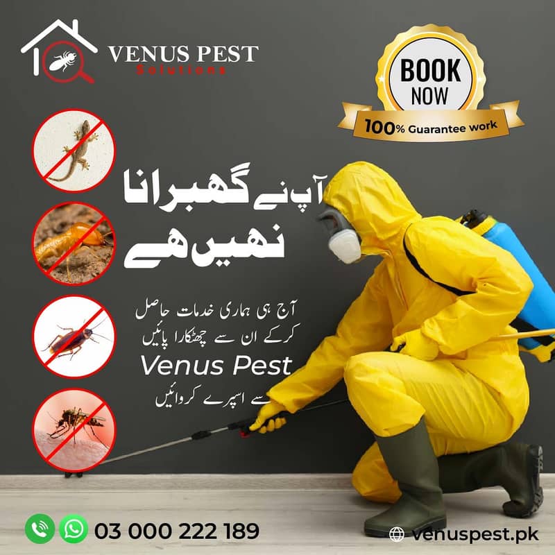 Commercial pest extermination services in Lahore/Dengue Spray,Pest 8