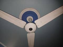 GFC Ceiling fan
