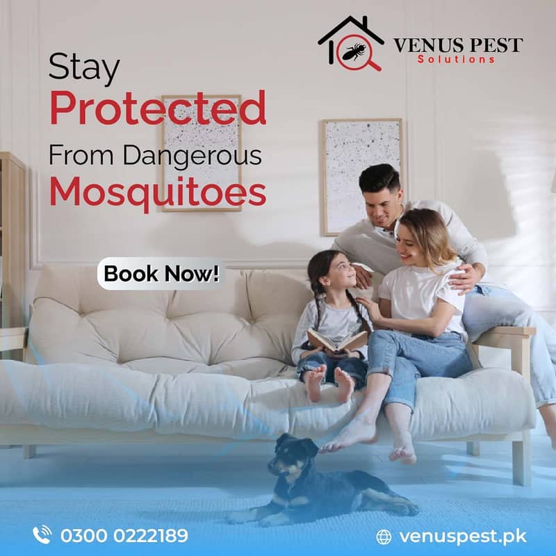 Affordable fumigation Treatment in Islamabad,Dengue Spray, Pest 4