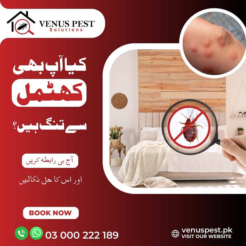 Affordable fumigation Treatment in Islamabad,Dengue Spray, Pest 6
